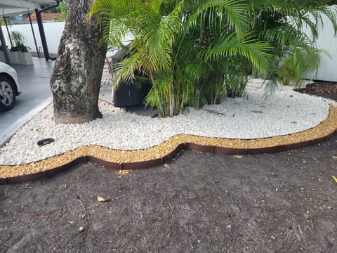 Serpentine bed of white marble chip and gold pebble around a tree trunk and areca palms