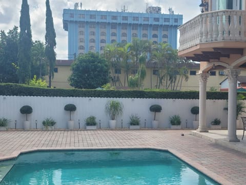Pool terrace with a run of clipped topiary standards and white planters along the fence