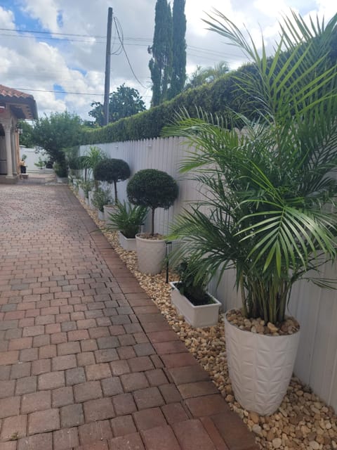 Paver walkway beside the white fence lined with a gold-pebble bed, potted plants and a tall areca palm in a white planter