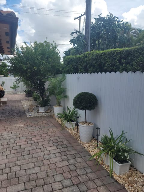 Fresh paver walkway with a clipped topiary standard in a white pot over gold river rock along the fence